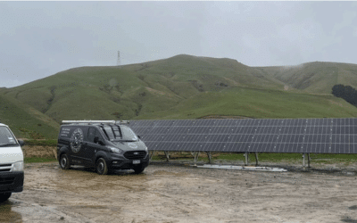 Why Quality Solar Panels and Expert Installers Matter: The True Cost of Cheap Solar in Wellington